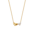 The Heartlight Necklace