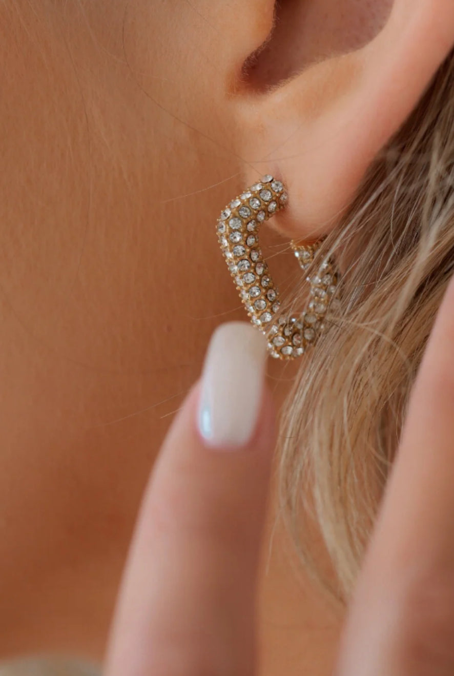 Vega pave Hoops